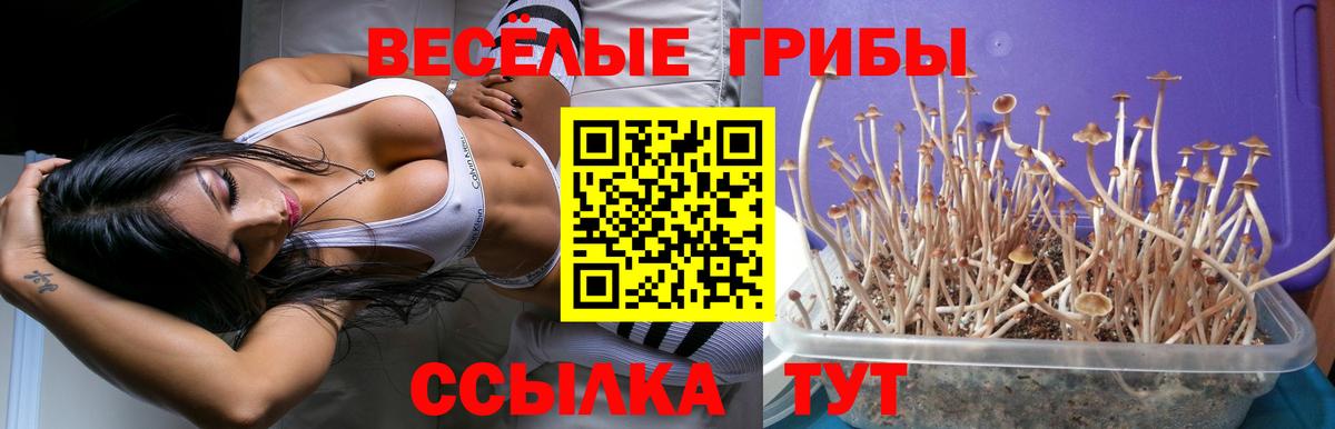 Обь  Галлюциногенные грибы мицелий  Вход с VPN 